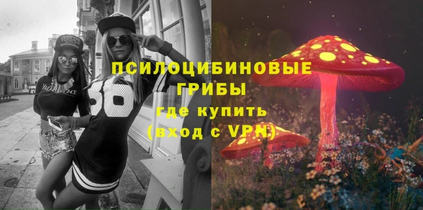 стафф Приозерск