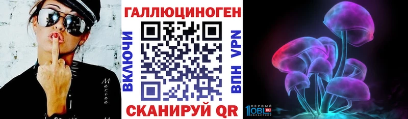 купить  цена  Белозерск  Галлюциногенные грибы Cubensis 